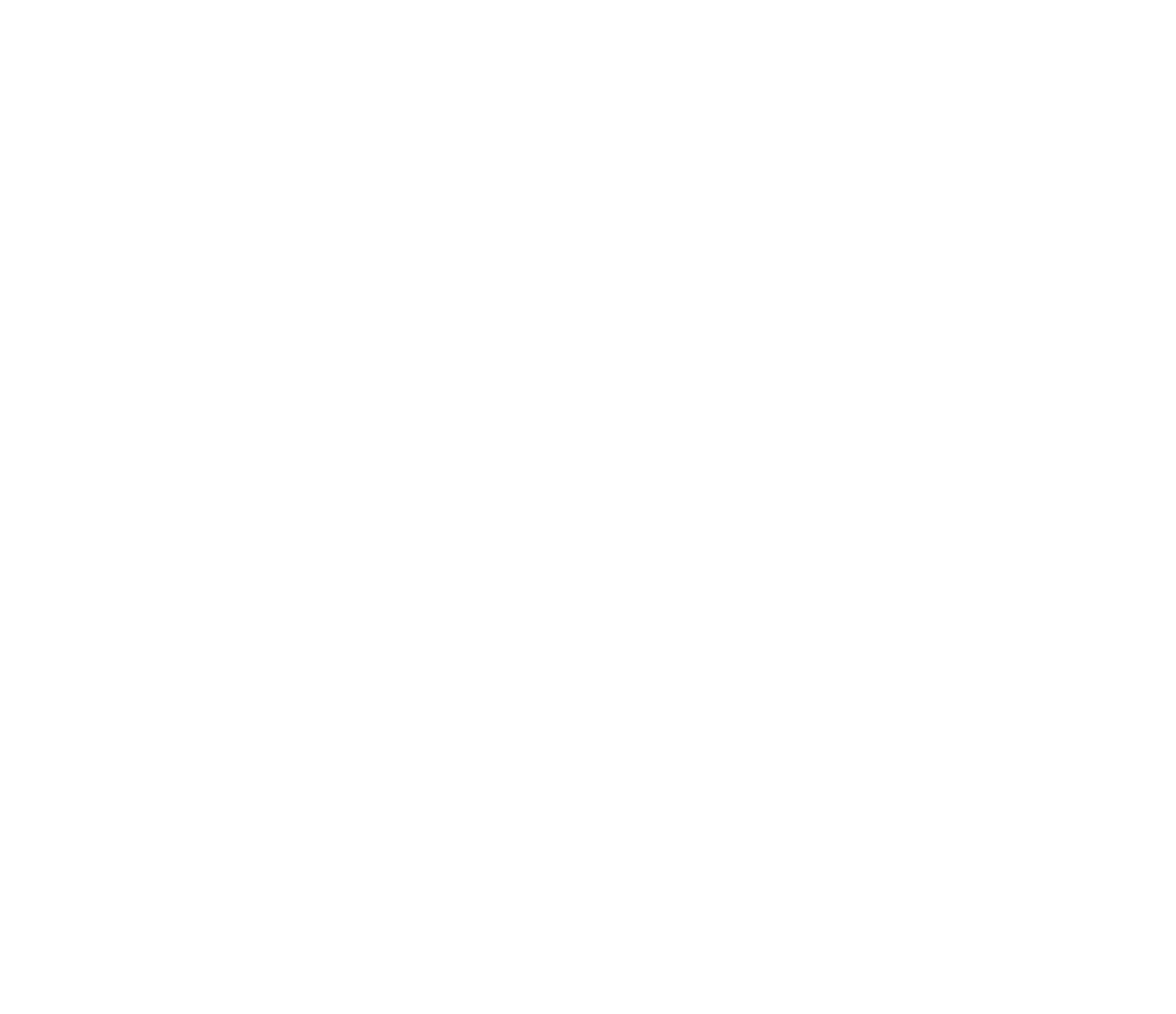 Jakonet-08_white
